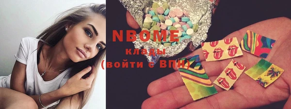 шишки Пестово