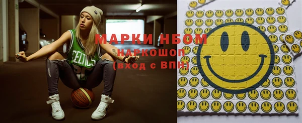 шишки Пестово