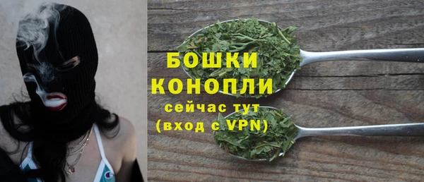 шишки Пестово