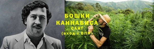 шишки Пестово