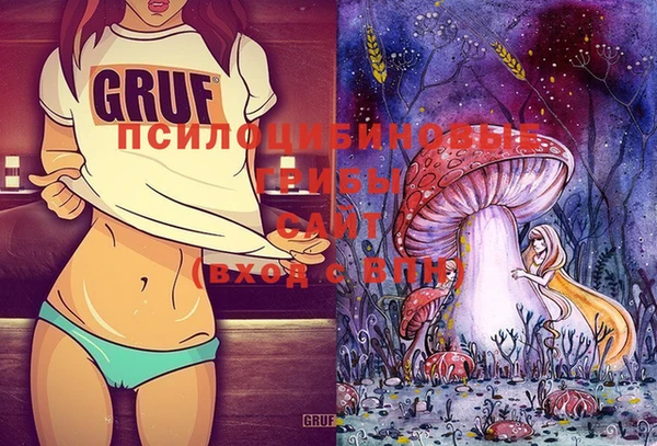 шишки Пестово