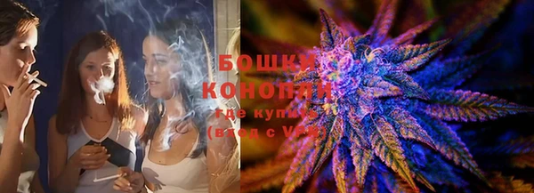 шишки Пестово