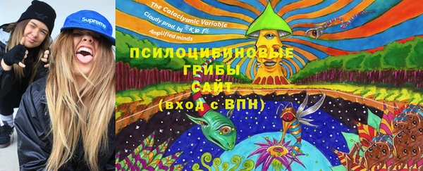 COCAINE Бородино
