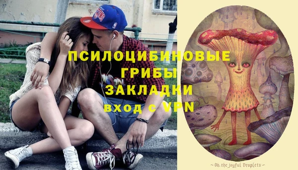 дурь Осинники