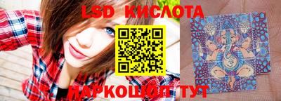 тгк Гай