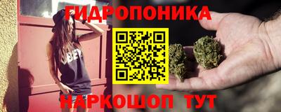 тгк Гай
