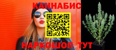 PSILOCYBIN Гагарин