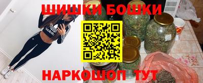 тгк Гай