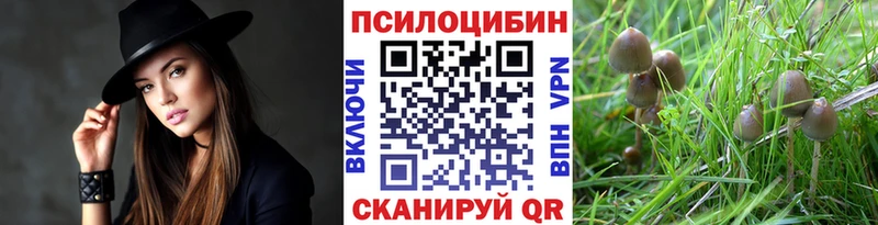 Галлюциногенные грибы ЛСД  Заводоуковск 