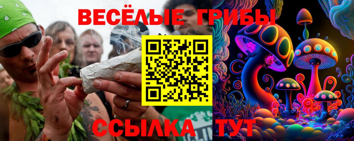 Галлюциногенные грибы прущие грибы  Псилоцибиновые грибы Magic Shrooms  Заводоуковск  Вход с VPN 