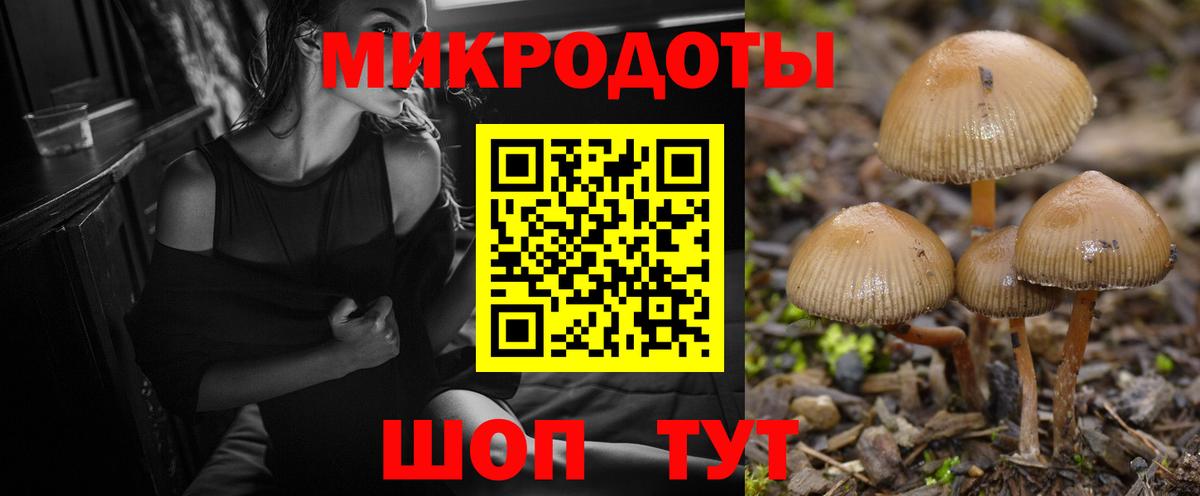 Галлюциногенные грибы прущие грибы Заводоуковск