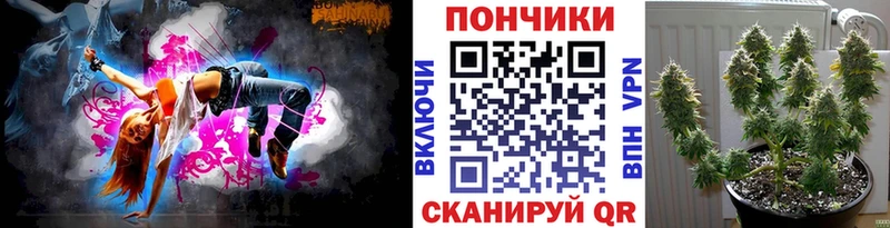 МАРИХУАНА Amnesia  ссылка на мегу онион  Заводоуковск  darknet наркотические препараты  где найти наркотики 